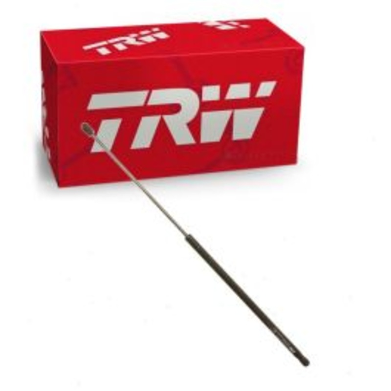 TRW Hood Lift Support for 2009-2016 Volkswagen CC 2.0L 3.6L L4 V6