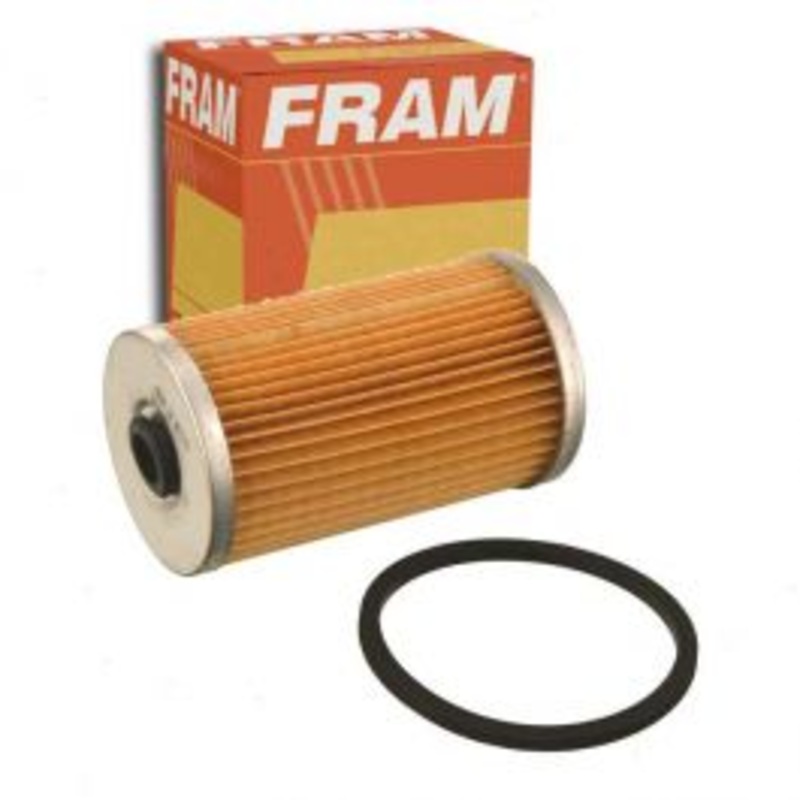 FRAM Fuel Filter for 1971-1973 Dodge B100 Van