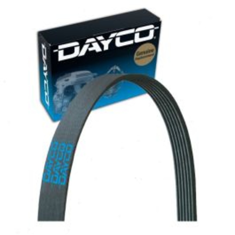 Dayco 5050650 Serpentine Belt