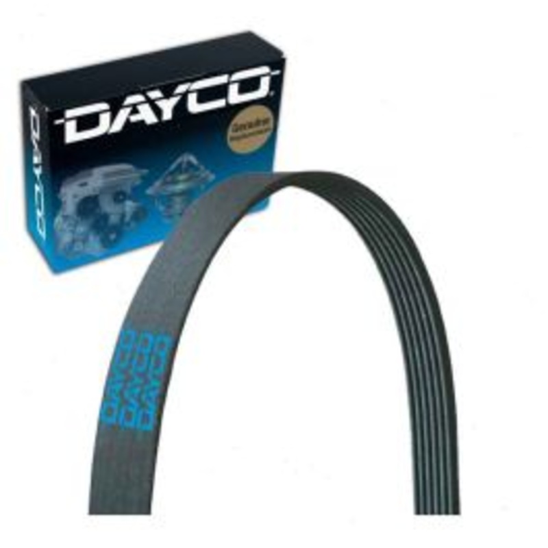 Dayco 5081065 Serpentine Belt