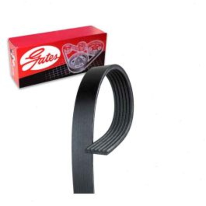Gates Micro-V Serpentine Belt for 2004 Ford Lobo 5.4L V8