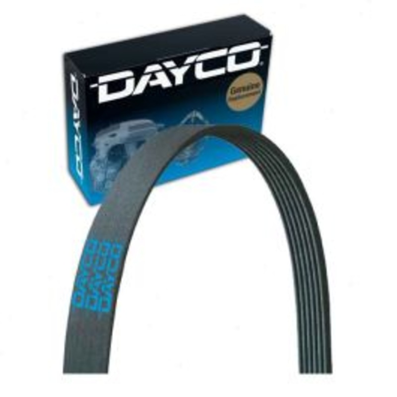 Dayco Main Drive Serpentine Belt for 2017-2019 BMW 540i