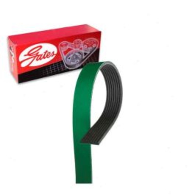 Gates FleetRunner Micro-V K081000HD Serpentine Belt