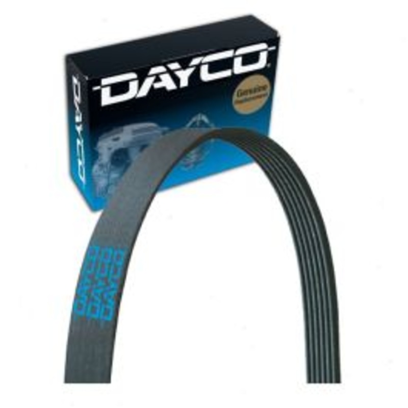 Dayco 5040437 Serpentine Belt