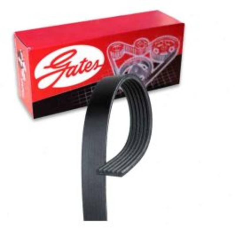 Gates Micro-V Serpentine Belt for 2018-2019 Hyundai Elantra GT 1.6L L4