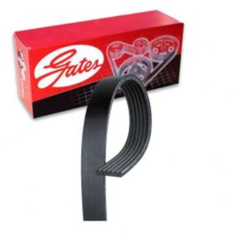 Gates Micro-V Serpentine Belt for 2019 BMW 330i GT xDrive 2.0L L4