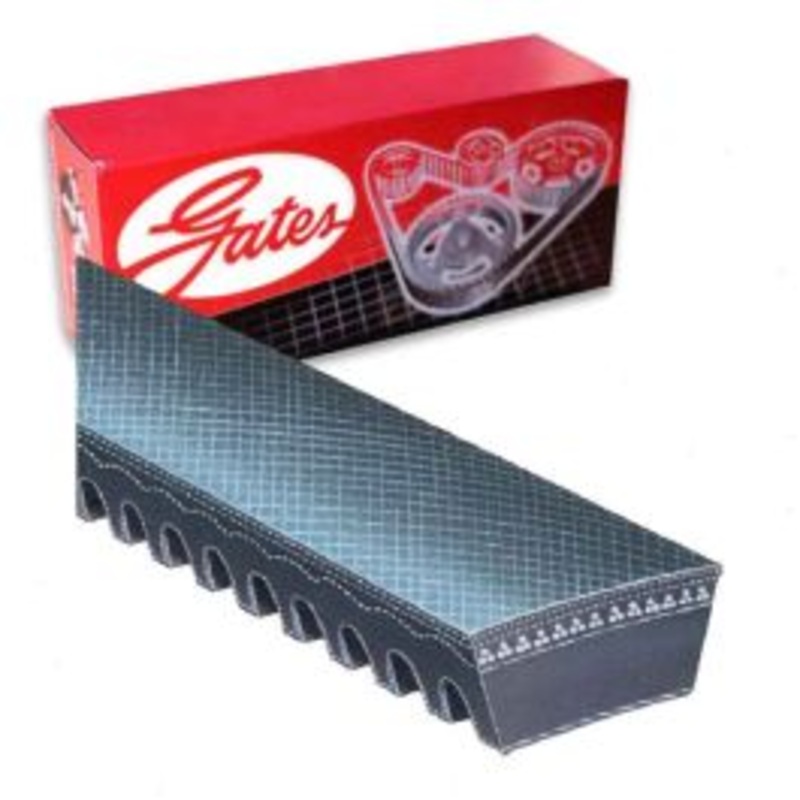 Gates 5503 Accessory Drive Belt