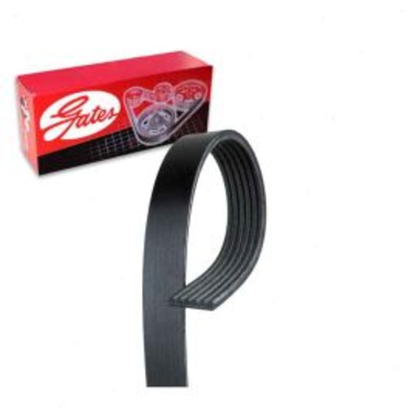 Gates Micro-V Serpentine Belt for 2015-2019 Ford Police Interceptor Utility 3.5L 3.7L V6