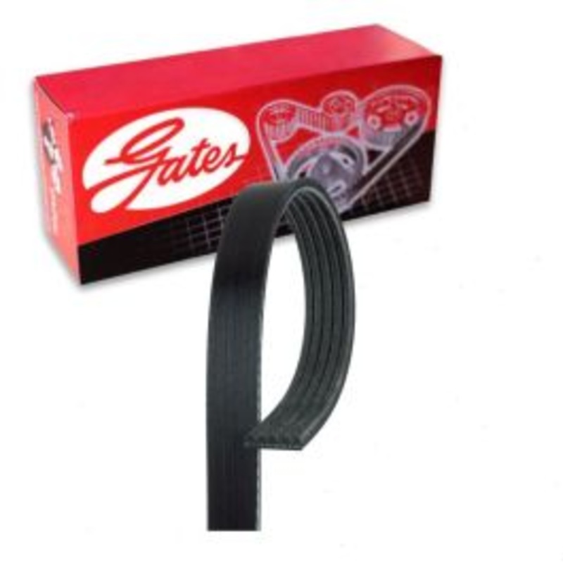 Gates Micro-V Power Steering AC Serpentine Belt for 1992-1993 Dodge Colt 1.8L L4