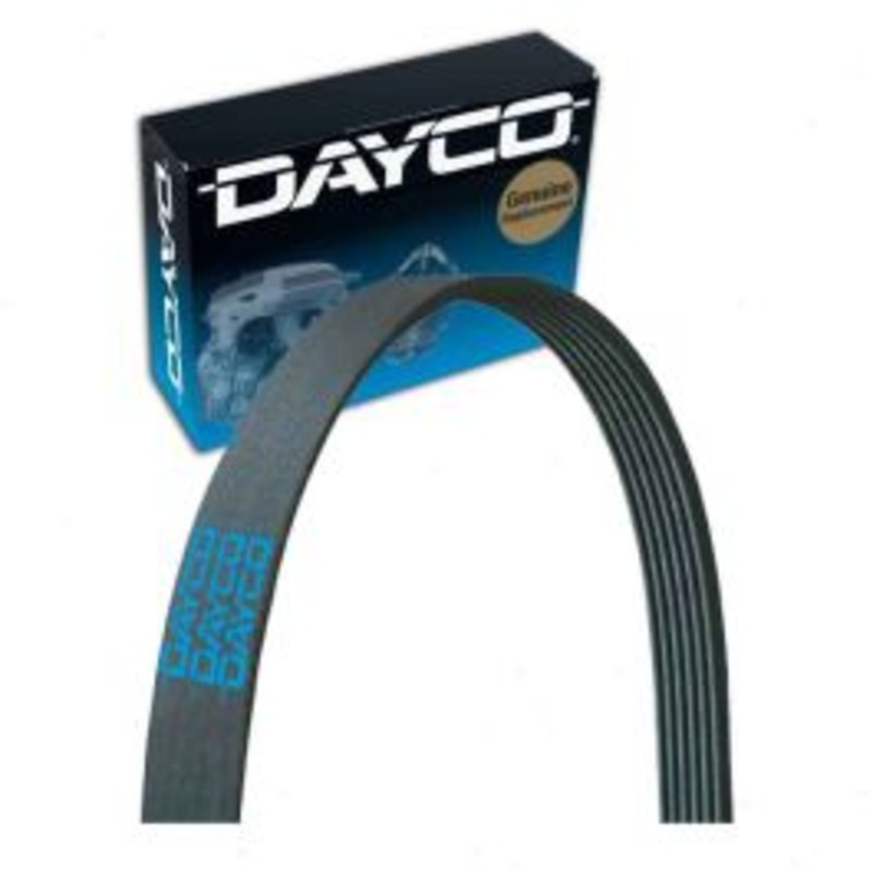 Dayco Main Drive Serpentine Belt for 2018-2019 BMW 330i GT xDrive